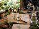 Botanische Studien und moderne Wissenschaft