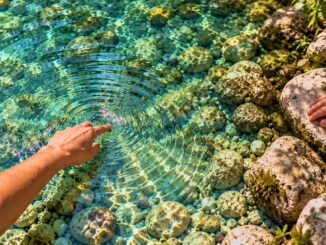 Eine Fingerspitze zieht Wellenkreise im klaren, sonnenbeschienenen Wasser