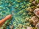Eine Fingerspitze zieht Wellenkreise im klaren, sonnenbeschienenen Wasser